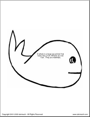 Shapebook: Whales