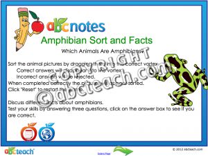 Interactive: Notebook: Animals- Amphibian Sort and Facts