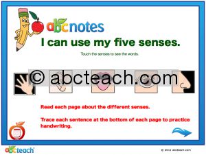 Interactive: Notebook: Early Reader Comprehension: My Five Senses (prim/elem)