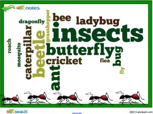 Interactive: Notebook: Animals- Insects Sort and Facts
