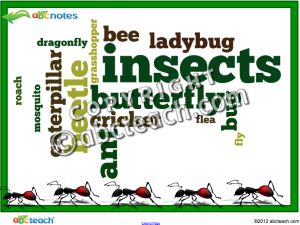 Interactive: Notebook: Animals- Insects Sort and Facts