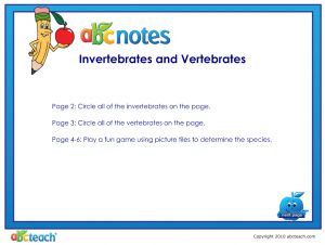 Interactive: Notebook: Animals: Invertebrate Games