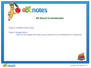 Interactive: Notebook: Animal: Invertebrate Quiz