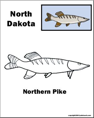 North Dakota: State Animal  – Northern Pike