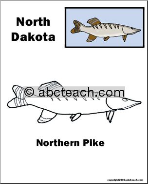 North Dakota: State Animal  – Northern Pike