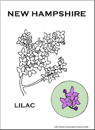 New Hampshire: State Flower – Lilac