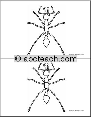 Nomenclature Cards: Ant (2) (b/w)
