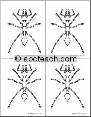Nomenclature Cards: Ant (4) (b/w)