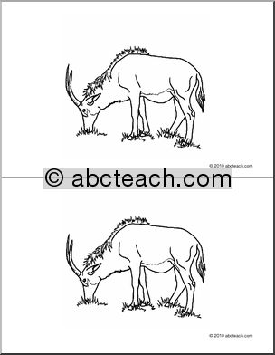 Nomenclature Cards: Antelope (2) (b/w)