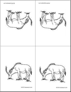 Nomenclature Cards: Antelope (4, foldable) (b/w)