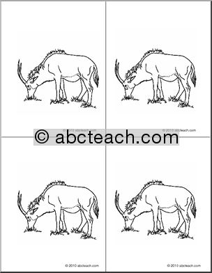 Nomenclature Cards: Antelope (4) (b/w)