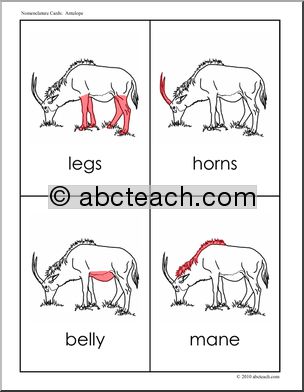 Nomenclature: Animal Anatomy Antelope (red-highlight)