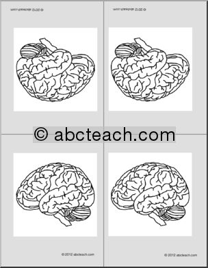 Nomenclature Cards: Human Brain (4) (foldable) (b/w)