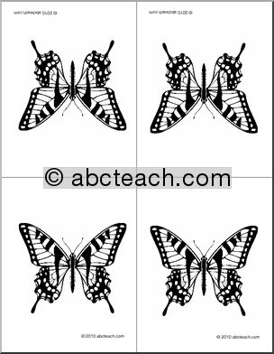 Nomenclature Cards:  Butterfly (4, foldable) (b/w)
