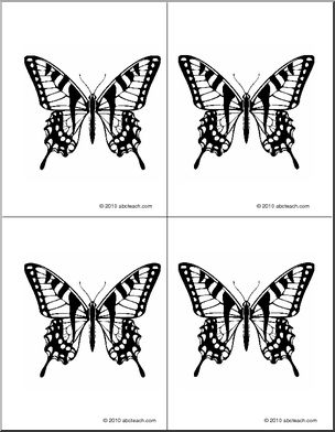 Nomenclature Cards:  Butterfly (4) (b/w)