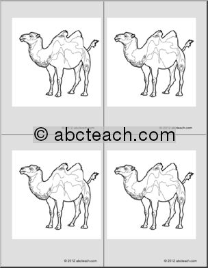 Nomenclature Cards: Camel (4) (b/w)
