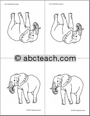 Nomenclature Cards: Elephant (4, foldable) (b/w)