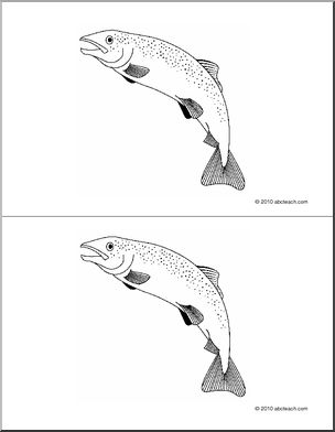 Nomenclature Cards: Fish (2) (b/w)