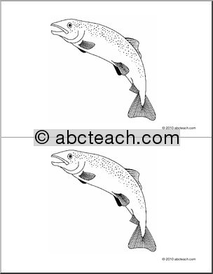 Nomenclature Cards: Fish (2) (b/w)
