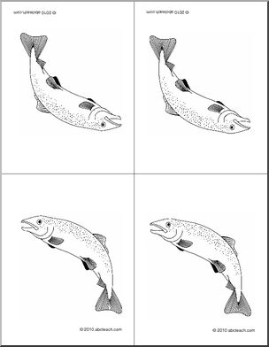 Nomenclature Cards: Fish (4, foldable) (b/w)