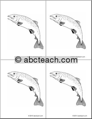 Nomenclature Cards: Fish (4) (b/w)