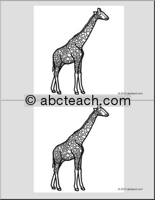 Nomenclature Cards: Giraffe (2) (b/w)