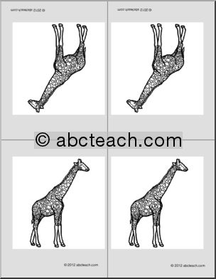 Nomenclature Cards: Giraffe (4) (b/w) (foldable)