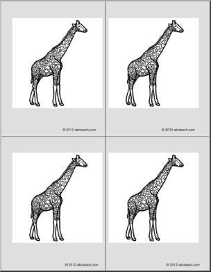 Nomenclature Cards: Giraffe (4) (b/w)