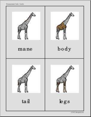 Nomenclature Cards: Giraffe Three-Part Matching (color)