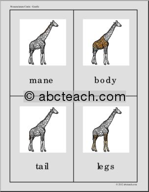 Nomenclature Cards: Giraffe Three-Part Matching (color)