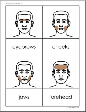 Nomenclature Cards: Human Body; Head (2) (b/w) | Abcteach