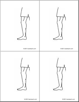 Nomenclature Cards: Human Body: Leg (4) (b/w)
