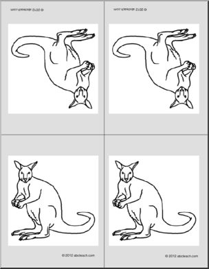 Nomenclature Cards: Kangaroo (4) (foldable) (b/w)