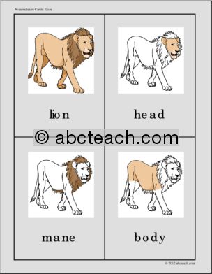 Nomenclature Cards: Lion Three Part Matching (color)