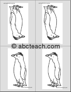 Nomenclature Cards: Penguin (4) (foldable) (b/w)