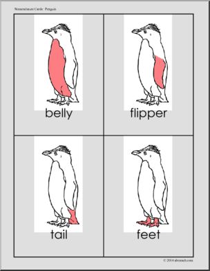 Nomenclature Cards: Penguin Three-Part Matching (red-highlight)