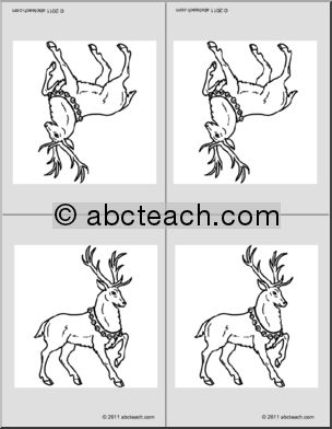 Nomenclature Cards: Reindeer (4) (foldable)