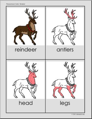 Nomenclature Cards: Reindeer (red-highlighted)