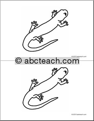Nomenclature Cards: Salamander (2) (b/w)