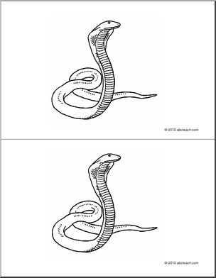Nomenclature Cards: Snake (2) (b/w)