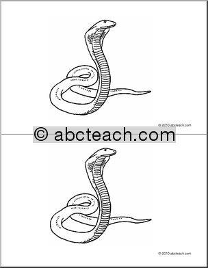 Nomenclature Cards: Snake (2) (b/w)