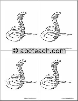 Nomenclature Cards: Snake (4) (b/w)