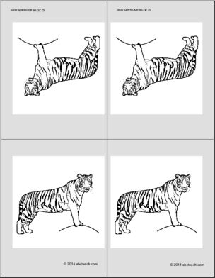 Nomenclature Cards: Tiger (4) (foldable)