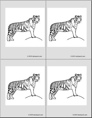 Nomenclature Cards: Tiger (4) (b/w)