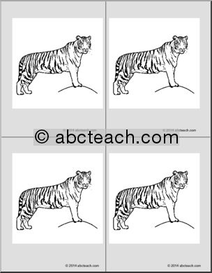 Nomenclature Cards: Tiger (4) (b/w)