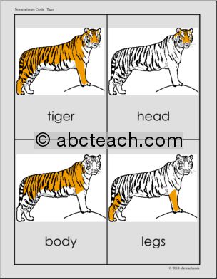 Nomenclature Cards: Tiger – Three Part Matching (color)