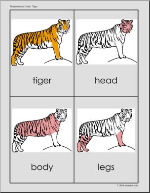 Nomenclature Cards: Tiger – Three Part Matching (red-highlighted)
