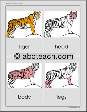 Nomenclature Cards: Tiger – Three Part Matching (red-highlighted)