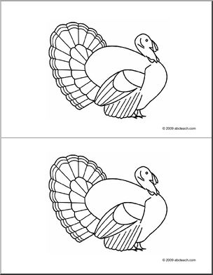 Nomenclature Cards: Turkey (blank to color) – 2