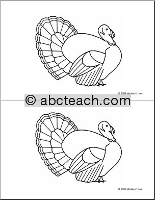 Nomenclature Cards: Turkey (blank to color) – 2